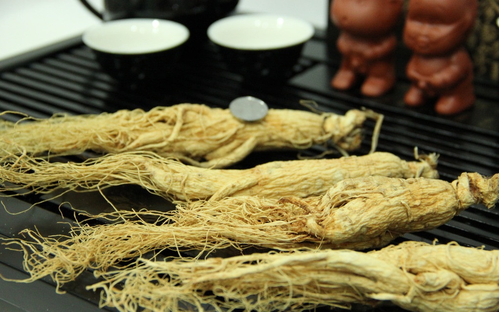 什么是人參皂苷？它對人體的健康有哪些功效？